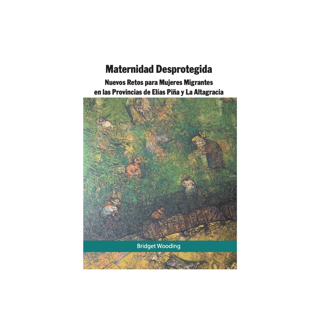 Portada de Maternidad Desprotegida